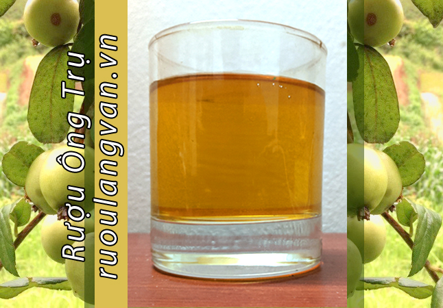 Rượu táo mèo Ông Trụ