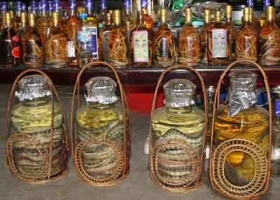 Những loại rượu thuốc cực quý từ động vật