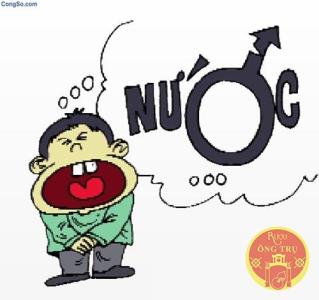 Các bài rượu thuốc từ động vật chữa chứng tiểu tiện ít