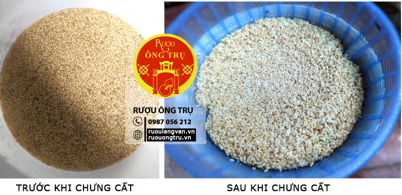 Cơm nếp cái hoa vàng sau khi đã được chưng cất