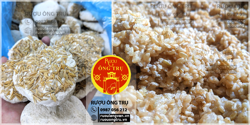 Quá trình trộn hỗn hợp men và cơm nếp