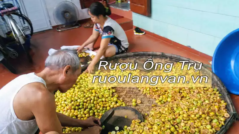 Táo mèo được thái thành lát nhỏ trước khi đem ngâm rượu