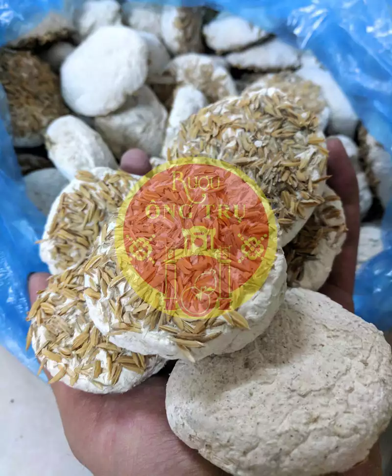 Men thuốc bắc truyền thống